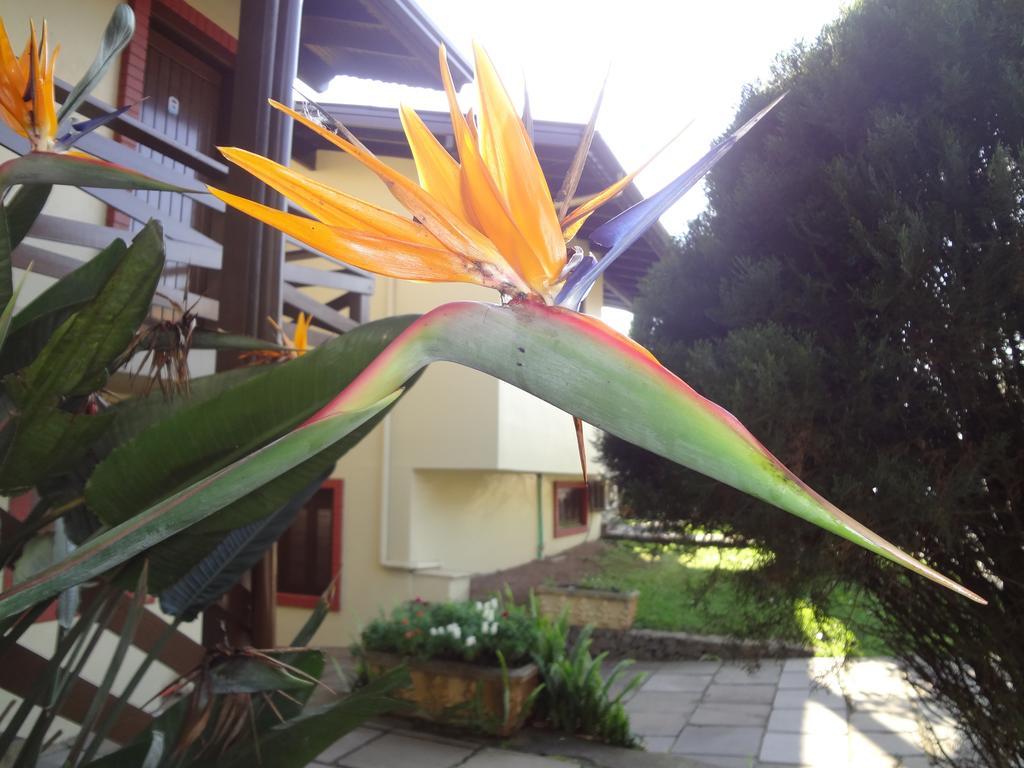 Pousada Floratta Nossa Casa Gramado Bagian luar foto